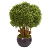Homplanti 38" Boxwood Artificial Topiary Tree In Bowl (indoor/outdoor)