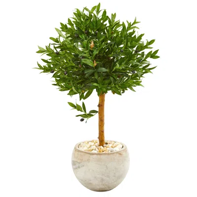 Homplanti 38" Olive Artificial Tree In Planter Uv (indoor/outdoor)