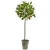 Homplanti 38'' Potted Orange Tree