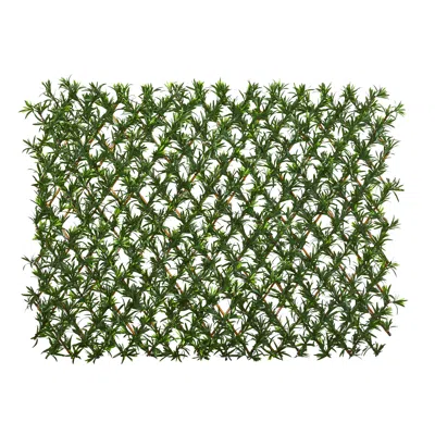 Homplanti 39" Podocarpus Expandable Fence Uv Resistant & Waterproof