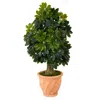 Homplanti 39" Schefflera Tree In Terra-cotta Planter (real Touch)