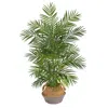 Homplanti 4' Areca Palm In Handmade Jute Gray Woven Planter