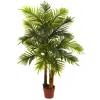 Homplanti 4' Areca Palm Tree (real Touch) X 18 W/130 Lvs