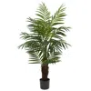Homplanti 4' Areca Palm Tree W/360 Lvs