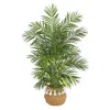 Homplanti 4' Areca Palm W/736 Lvs In Natural Cotton Planter W/tassels