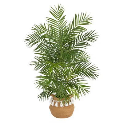 Homplanti 4' Areca Palm W/736 Lvs In Natural Cotton Planter W/tassels