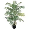 Homplanti 4' Areca Palm X 7 W/736 Lvs