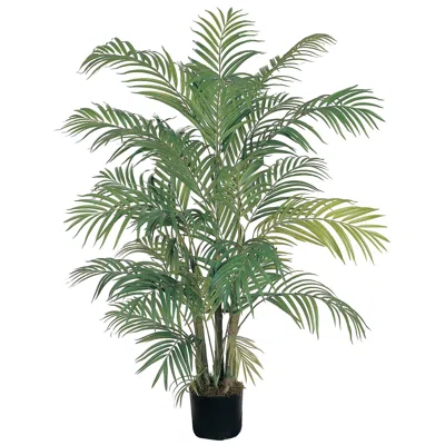 Homplanti 4' Areca Palm X 7 W/736 Lvs