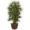 Homplanti 4' Bamboo Tree In Bamboo Planter