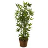 Homplanti 4' Bamboo Tree In Coiled Rope Planter