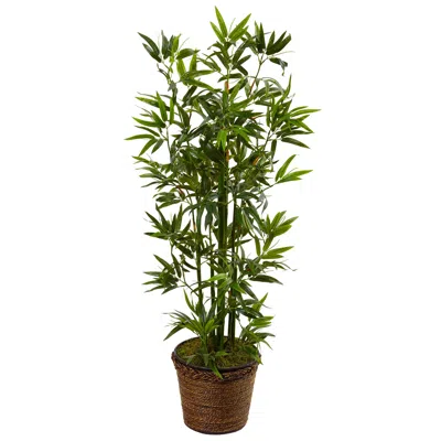 Homplanti 4' Bamboo Tree In Coiled Rope Planter