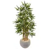 Homplanti 4' Bamboo Tree In Sand Colored Bowl
