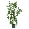 Homplanti 4' Bamboo Tree W/540 Lvs