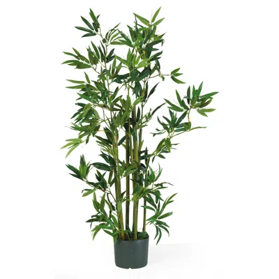 Homplanti 4' Bamboo Tree W/540 Lvs