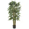 Homplanti 4' Biggy Bamboo Tree W/576 Lvs