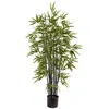 Homplanti 4' Black Bamboo Tree X 10 W/588 Lvs