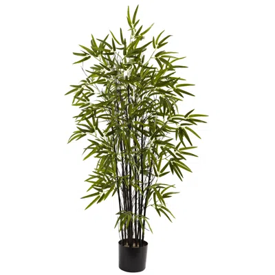 Homplanti 4' Black Bamboo Tree X 10 W/588 Lvs