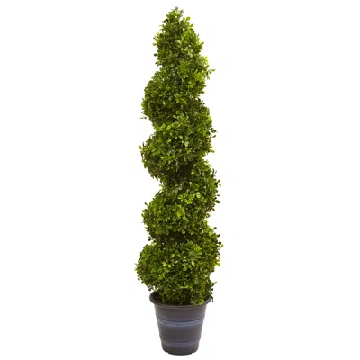Homplanti 4' Boxwood Spiral Topiary With Planter (indoor/outdoor)