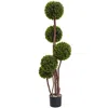 Homplanti 4' Boxwood Topiary (twotone Green) X 5 W/420 Lvs