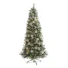 Homplanti 4' Brit Columbia Pine Xmas Tree W/100 Lights,cones, 228 Tips