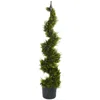 Homplanti 4' Cypress Spiral Tree