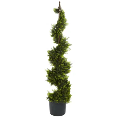 Homplanti 4' Cypress Spiral Tree