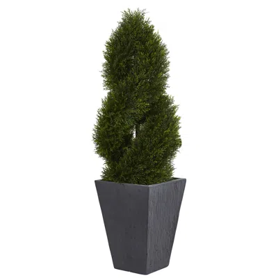 Homplanti 4' Cypress Tree In Slate Planter Uv Res (indoor/outdoor) In Black