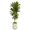 Homplanti 4' Dracaena Plant In Flower Print Planter (real Touch)