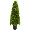 Homplanti 4' Eucalyptus Topiary Artificial Tree (indoor/outdoor)