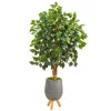 Homplanti 4' Ficus Artificial Tree In Gray Planter With Stand