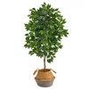 Homplanti 4' Ficus Tree In Boho Chic Cotton & Jute Gray Woven Planter