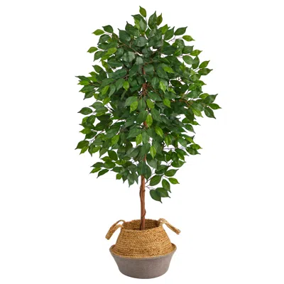 Homplanti 4' Ficus Tree In Boho Chic Cotton & Jute Gray Woven Planter