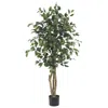 Homplanti 4' Ficus Tree W/504 Lvs