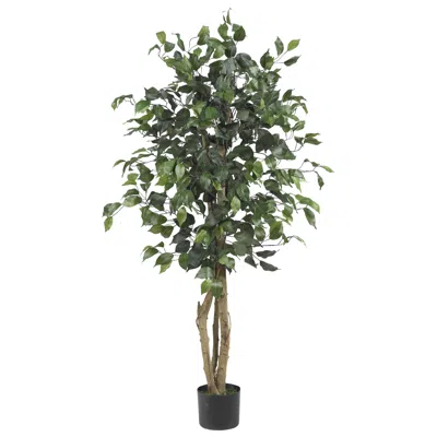Homplanti 4' Ficus Tree W/504 Lvs
