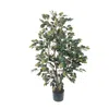 Homplanti 4' Ficus Tree W/950 Lvs
