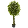 Homplanti 4' Ficus Tree With Braided Trunk Uv Resist (indoor/outdoor)