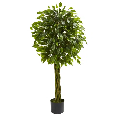 Homplanti 4' Ficus Tree With Braided Trunk Uv Resist (indoor/outdoor)