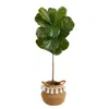 Homplanti 4' Fiddle Leaf Tree In Planter W/tassel Uv (indoor/outdoor)