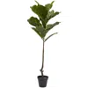 Homplanti 4' Fiddle Leaf Tree Uv Resistant W/14 Lvs(indoor/outdoor)