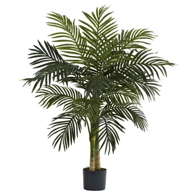 Homplanti 4' Golden Cane Palm Tree X 2 W/15 Lvs