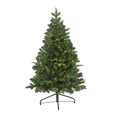 Homplanti 4' Grand Teton Flat Back Xmas Tree W/90 Leds And 369 Tips In Brown