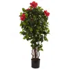 Homplanti 4' Hibiscus Tree X 7 W/406 Lvs