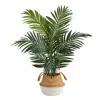 Homplanti 4' Kentia Palm Tree In Handmade Cotton & Jute White Planter