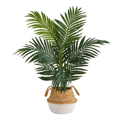 Homplanti 4' Kentia Palm Tree In Handmade Cotton & Jute White Planter In Blue