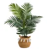 Homplanti 4' Kentia Palm Tree In Natural Cotton Planter With Tassels