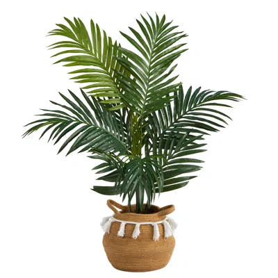 Homplanti 4' Kentia Palm Tree In Natural Cotton Planter With Tassels