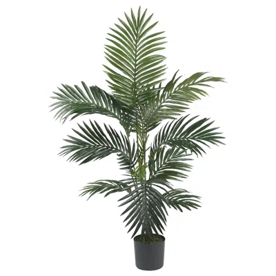 Homplanti 4' Kentia Palm Tree W/9 Fronds