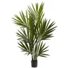 Homplanti 4' Kentia Palm Tree X 6 W/104 Lvs
