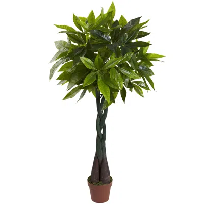 Homplanti 4' Money Plant (real Touch)