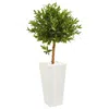 Homplanti 4' Olive Artificial Tree In Planter Uv (indoor/outdoor)